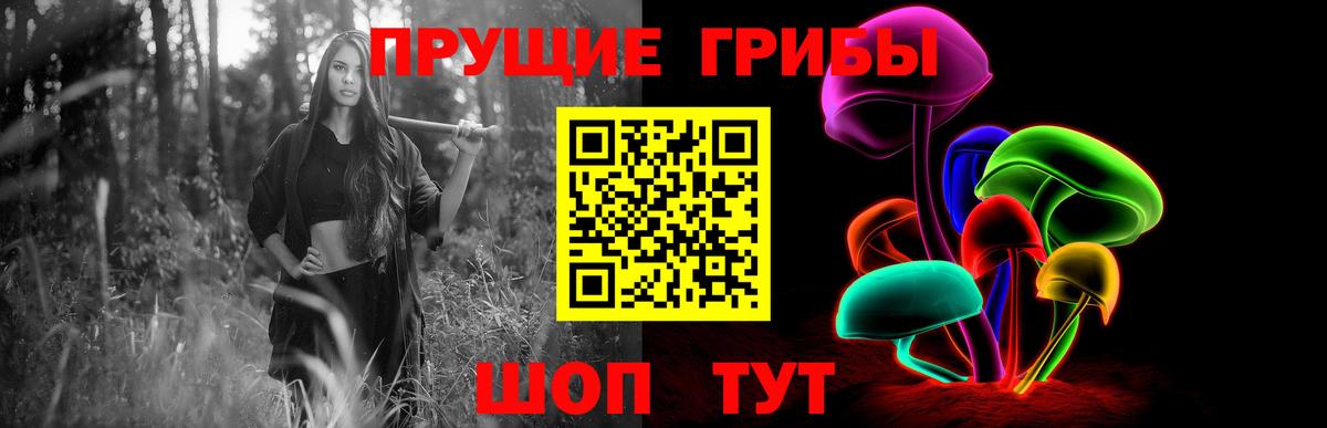 Псилоцибиновые грибы ЛСД  Вход с VPN  Киселёвск  Псилоцибиновые грибы MAGIC MUSHROOMS 