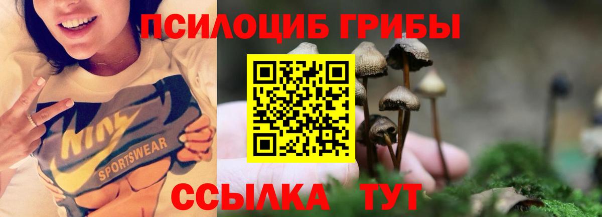 Галлюциногенные грибы прущие грибы Киселёвск